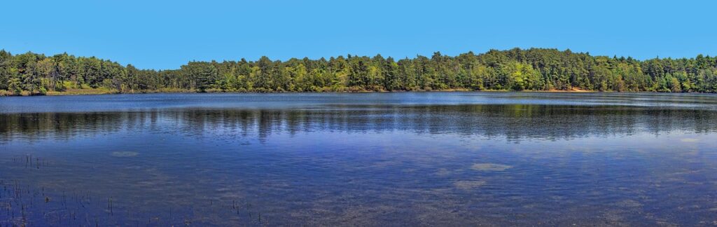 Lake Anna Real Estate 1 Lake Anna Real Estate
